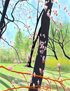 Tulpenbaum