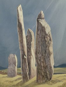 Hohe Steine von Callanish, Isle of Lewis von Evangeline Dickson