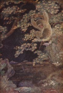 Die Qualle und der Affe, Illustration aus 