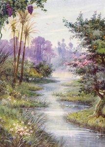 Der Garten Eden von Evelyn Stuart Hardy
