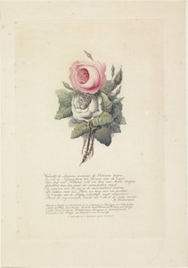 Rosen mit Silhouettenporträts von Willem I Frederik, König der Niederlande, Wilhelmina von Preußen, ihren Kindern, seiner Mutter und seiner Schwester von Evert Maaskamp