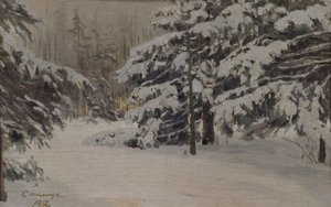 Winter auf den Inseln von Sankt Petersburg, 1912 von Evgeni Ivanovich Stolitsa