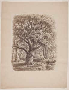 Waldinneres mit einem Bach und einem Hirsch von F.C. Kiærskou