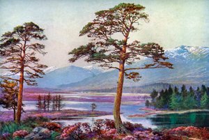 Am Loch Tulla, Black Mount, Argyllshire, Schottland, 1924-1926 von F. C. Varley