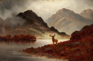 Hirsch in der Bucht von F. Carl