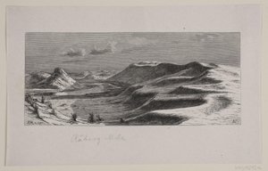 Råbjerg Mile von F. Hendriksen