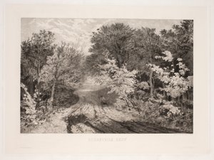 Borrevejle Wald