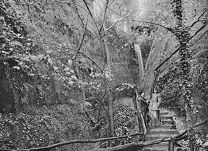 Shanklin Chine, um 1896