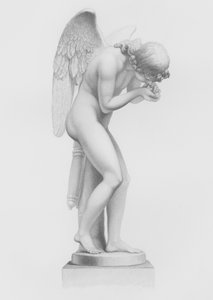 Die Liebe belebt das Leben, nach der Statue von Finelli, in der Sammlung von His Grace the Duke of Devonshire, in Chatsworth (Gravur) von F. Roffe