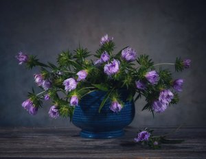 Lavendel-Disteln-Stillleben