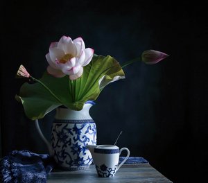 Gelassenes Lotus-Arrangement