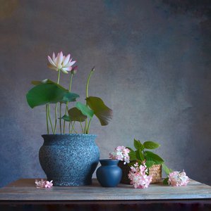 Serenes Lotus-Stillleben von Fangping Zhou