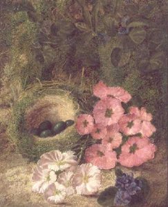 Frühling (Nest mit Hundsrosen)