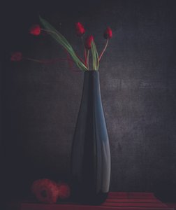 Elegante rote Tulpen