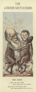 Karikatur von Charles Darwin