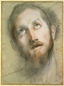 Studie für den Kopf Christi von Federico Fiori Barocci or Baroccio