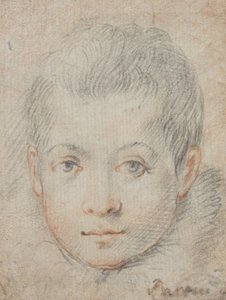 Kopf eines Jungen von Federico Zuccaro