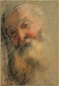 Kopf eines alten bärtigen Mannes, 1584-1586