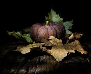 Dunkler Herbstkürbis von Felice Angelino