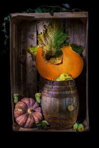 Rustikale Herbstkürbisse