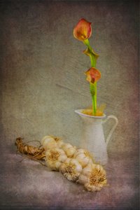 Rustikale Knoblauch Calla-Lilien von Felice Angelino