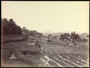 Fujiyama von der Neuen Straße