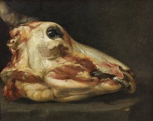Gehäuteter Kopf eines Ochsen von Felice Boselli
