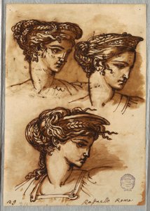 Drei Studien eines Kopfes mit Diadem und geflochtenem Haar, nach Raphael
