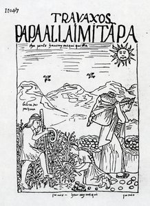 Der Monat Juni, Kartoffelernte von Felipe Huaman Poma de Ayala