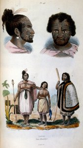 Anthropologische Illustration der Maori-Rasse von Felix-Edouard Guerin