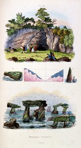 Botanische und zoologische Illustration von F. E. Guerin. Aus Dictionnaire pittoresque d