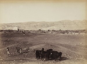 Eine felsige Gegend mit Kindern und weidenden Tieren, in Ägypten von Félix Bonfils
