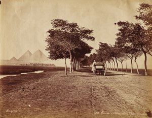 Kairo. Allee der Pyramiden
