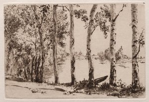 Espen am Ufer der Seine
