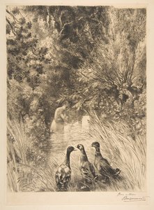 Überraschte Enten, 1882