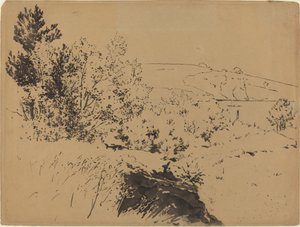 Küstenlandschaft