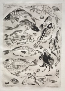 Tafelservice (Rousseau-Service): Fisch (Nr. 24)
