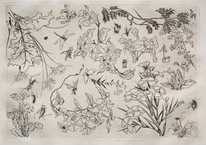 Tafelservice (Rousseau-Service): Blumen (Nr. 22)
