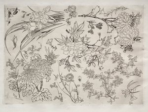 Tafelservice (Rousseau-Service): Blumen (Nr. 23) von Felix Bracquemond