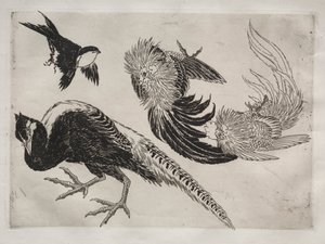 Tafelservice (Rousseau-Service): Fasane und Vogel (Nr. 18) von Felix Bracquemond