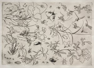 Tafelservice Rousseau-Service: Blumen und Insekten Nr. 15, 1866