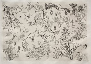Tafelservice Rousseau-Service: Blumen Nr. 22, 1866