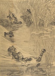 Entenvergnügen, 1850-1914 von Felix Bracquemond