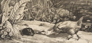 Der Unbekannte, 1862