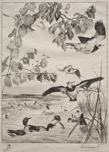 Kiebitze und Krickenten von Felix Bracquemond