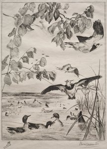 Kiebitze und Krickenten, 1862 von Felix Bracquemond