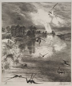 Schwalben von Felix Bracquemond