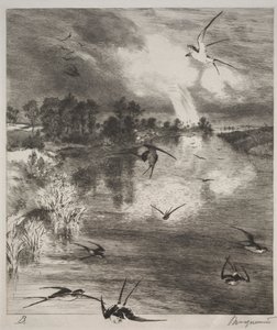 Schwalben von Felix Bracquemond