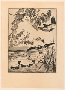 Kiebitze und Krickenten von Felix Bracquemond