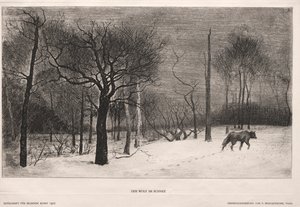 Winter von Felix Bracquemond